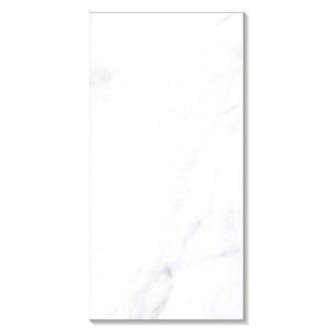 Gạch ốp lát Taicera 30×60 W63032