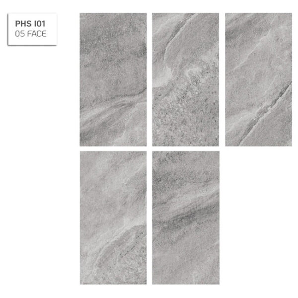 PHS-I01.1