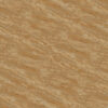 gach-catalan-61029