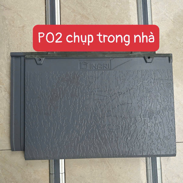 ngoi-lop-mai-dang-phang-inari-p02-1