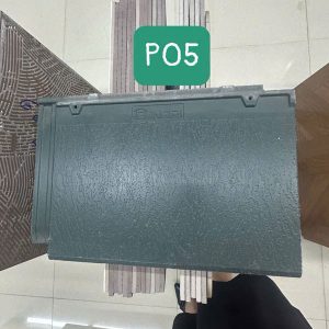 ngoi-lop-mai-dang-phang-inari-p05