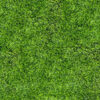 4040GREENERY002