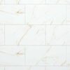 4080GECKO002-