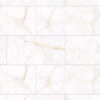 4080REGAL011-H+