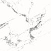 8080DONGVAN010-FP-H+