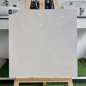 gach-op-lat-viglacera-60x60-ts1-617