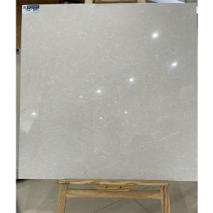 gach-op-lat-viglacera-60x60-ts2-617
