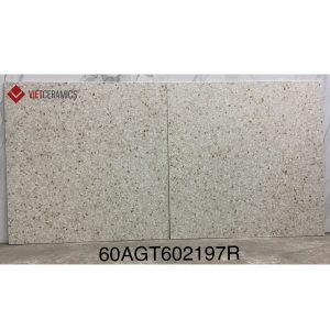 gach-op-lat-vietceramic-60x60-60agt602197r-1