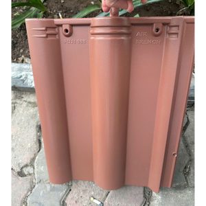 ngoi-fuji-m11-dang-song