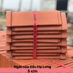 ngoi-ha-long-lop-noc-tieu-n20