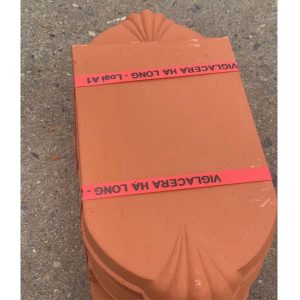 ngoi-so-co-ha-long-n25kc-khong-chan-2