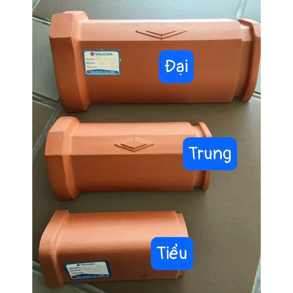 ngoi-viglacera-ha-long ngoi-viglacera-ha-long