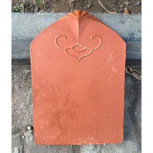 ngoi-so-co-viglacera-ha-long-tieu-dao-a1-khong-chan-1