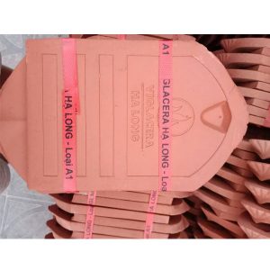 ngoi-so-co-viglacera-ha-long-tieu-dao-a1-khong-chan-3