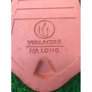 ngoi-so-co-viglacera-ha-long-tieu-dao-a1-khong-chan-4