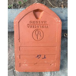 ngoi-so-co-viglacera-ha-long-tieu-dao-a1-khong-chan