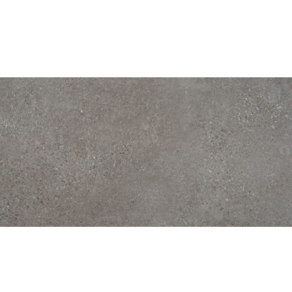 gach-op-lat-tay-ban-nha-rodas-gris-60x120-cm