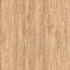 gach-prime-09682-60x60cm-van-go