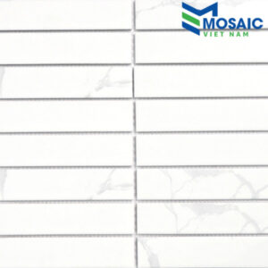 gach-mosaic-gom-the-mgtt048