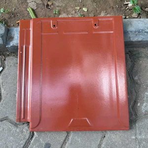 ngoi-phang-trang-men-viglacera-t09