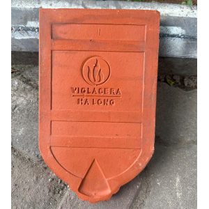 ngoi-so-co-viglacera-ha-long-25a1-khong-chan