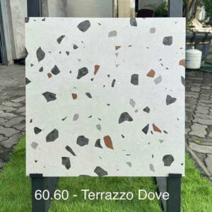 anh-gach-terrazzo-60x60-dove