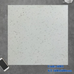 anh-gach-terrazzo-60x60cm-6001ds