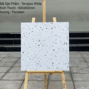 anh-gach-terrazzo-60x60cm-white