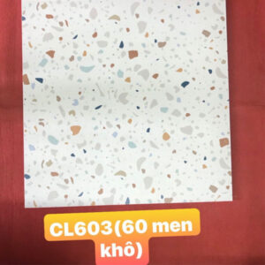 anh-thuc-te-gach-terrazzo-60x60cm-cl603ds