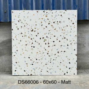 gach-terrazzo-60x60cm-66006ds