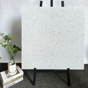 gach-terrazzo-60x60cm-66024ds