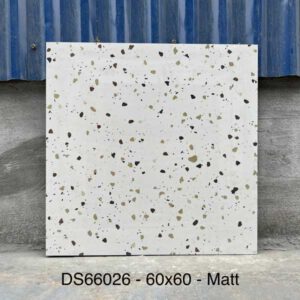 gach-terrazzo-60x60cm-66026ds