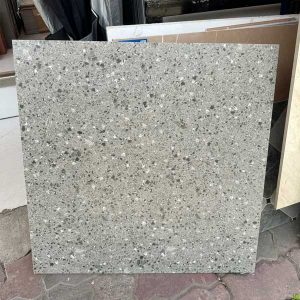 gach-terrazzo-60x60cm-67058ds