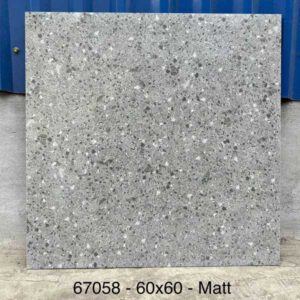 gach-terrazzo-60x60cm-67058ds