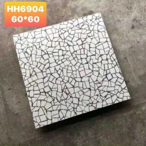 gach-terrazzo-60x60cm-6904ds