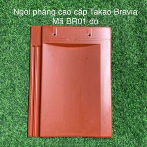 ngoi-phang-takao-bravia-br01