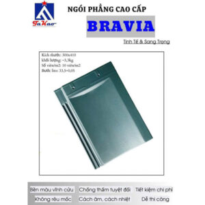 ngoi-phang-takao-bravia-br02-xanh