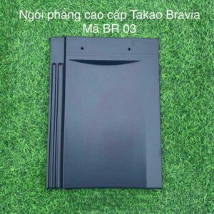 ngoi-phang-takao-bravia-br03-xanh-tim-1