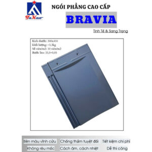 ngoi-phang-takao-bravia-br03-xanh-tim