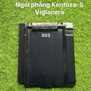 ngoi-phang-viglacera-kentoza-s03-trang-men-1