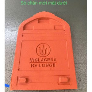 ngoi-so-co-vigalacera-ha-long-ii-a1-co-chan-3