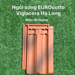 ngoi-viglacera-euro-cotto-t02-do