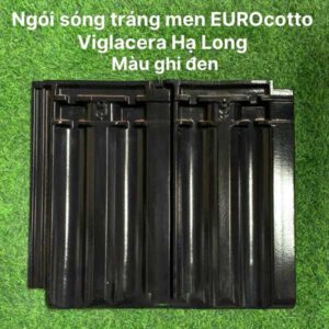 ngoi-viglacera-euro-cotto-t03-mau-ghi-3