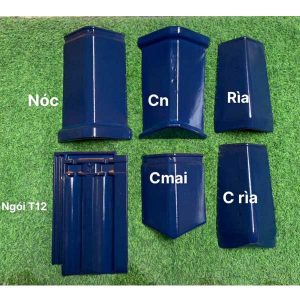 ngoi-viglacera-euro-cotto-t12-xanh-coban-1