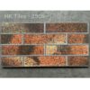 gach-the-hong-ha-25x50-tiles-2506