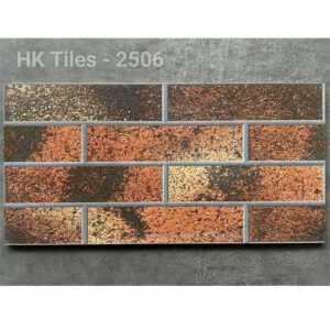 gach-the-hong-ha-25x50-tiles-2506