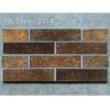 gach-the-hong-ha-25x50-tiles-2514