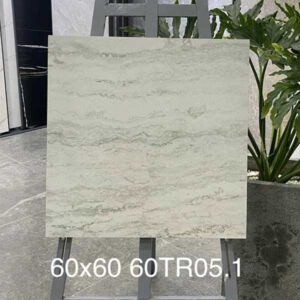 gach-trung-quoc-60tr05-1vh-60x60cm