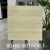 gach-trung-quoc-60tr06-1vh-60x60cm