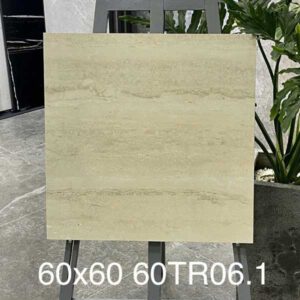 gach-trung-quoc-60tr06-1vh-60x60cm